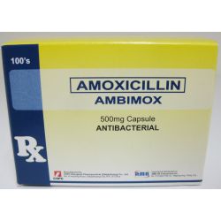 amoxicillin generic